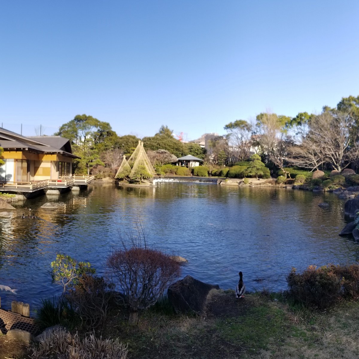 🌳 교센 공원 이미지 5